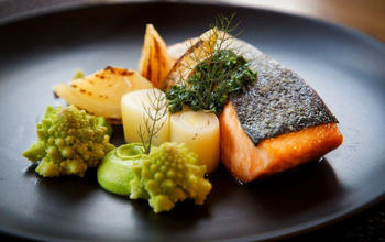 Juneau Culinary Experience: Glacier-Fresh Seafood & Coastal Elegance